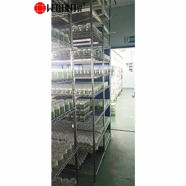 vertical grow racks