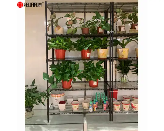 wire shelves for plants