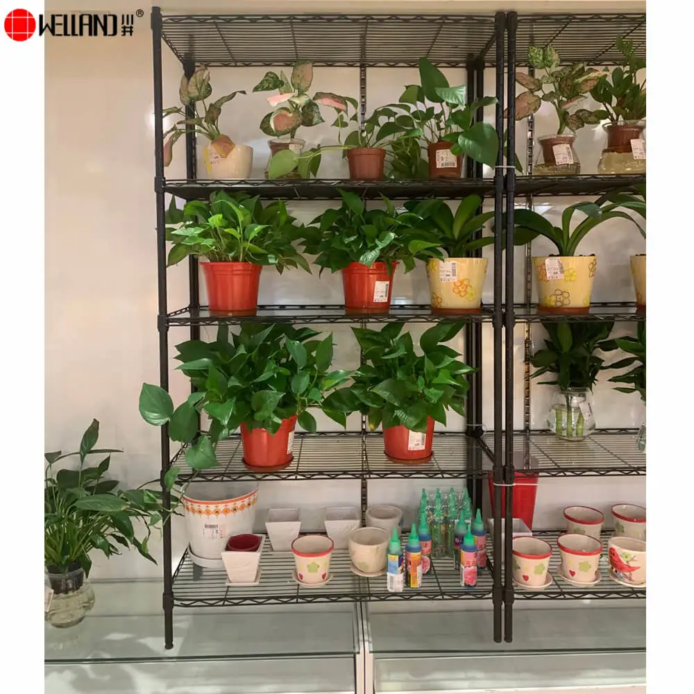 wire shelves for plants