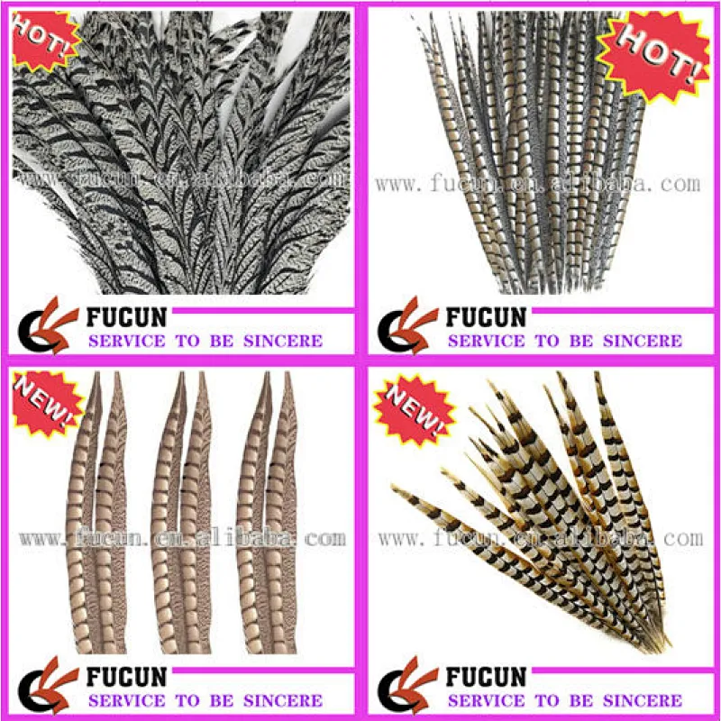 cheap pheasant feathers for carnival costumes