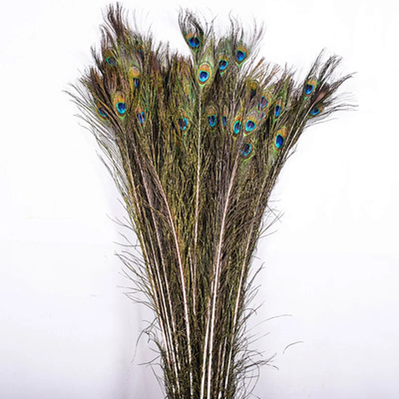 hot sale top quality 25-130cm real natural peacock tail feather for sale