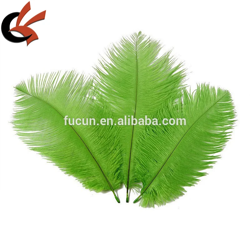 10-12 inch (25-30cm) Real Natural Ostrich Feather