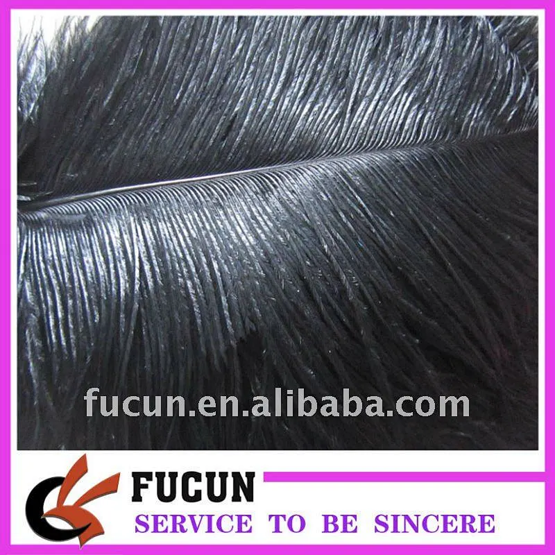High quality Black Ostrich Feather for party decoration