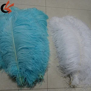 65-70cm wholesale high quality natural white ostrich feather