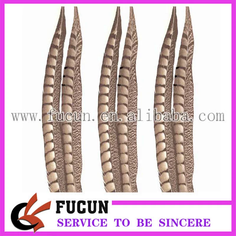 fashion pheasant feather for brazil carnival costumes