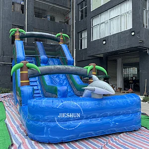 2020 new product tropical palm tree large PVC dolphin inflatable water slide with pool for rental