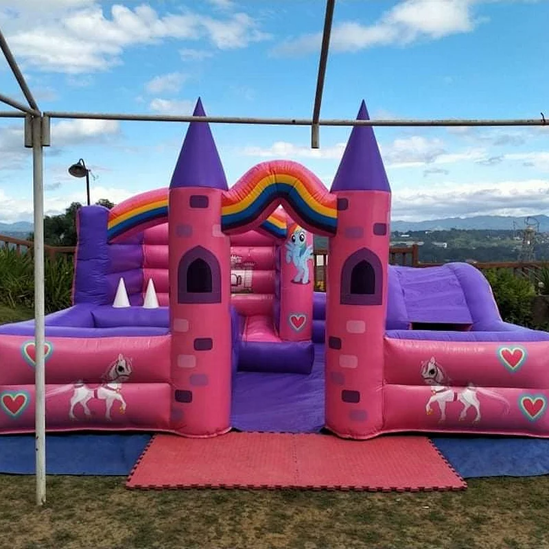Cartoon Theme Inflatable Bouncy Castle Pink Inflatable Jumping Slide