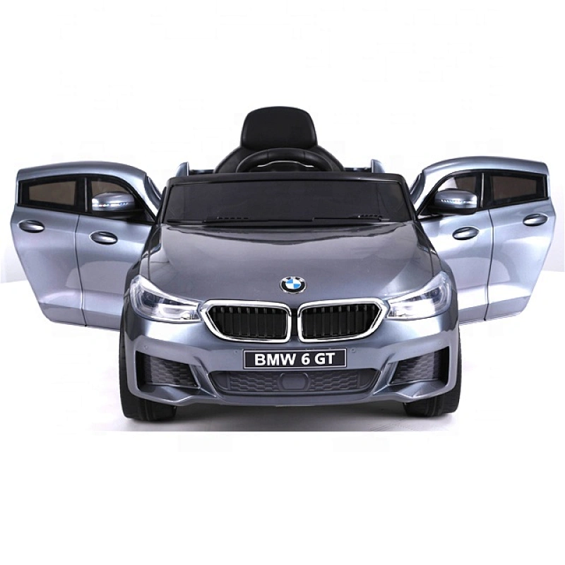 Лицензия BMW 6 GTR