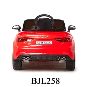 Licensed Audi S5
