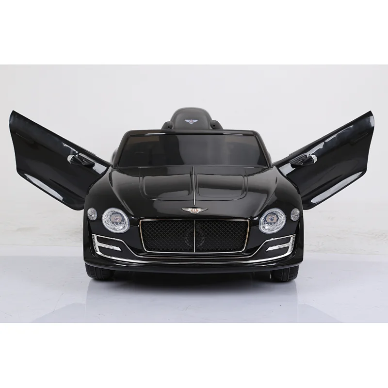 Licensed Bentley EXP12