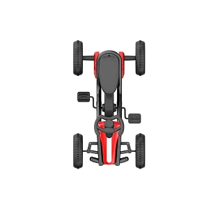 Paseo en kart