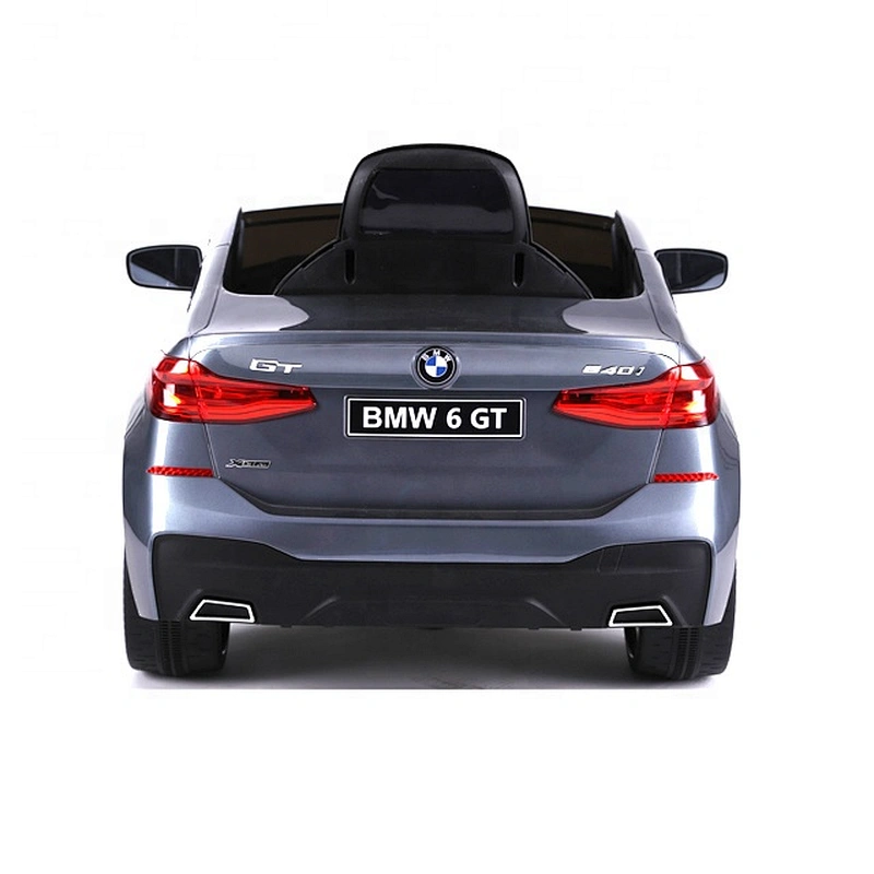 License BMW 6 GTR