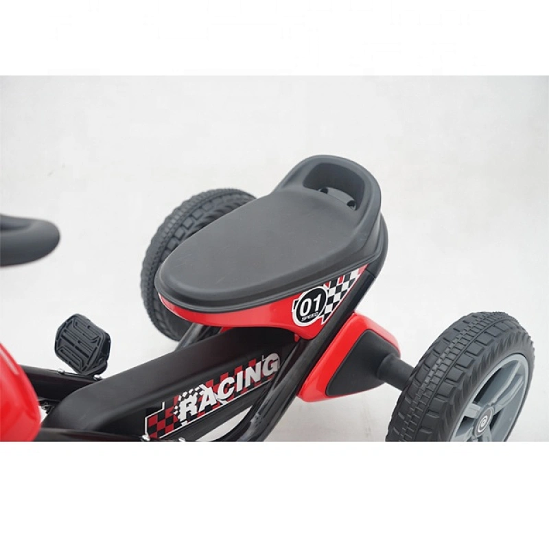 Paseo en kart