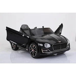 Licensed Bentley EXP12