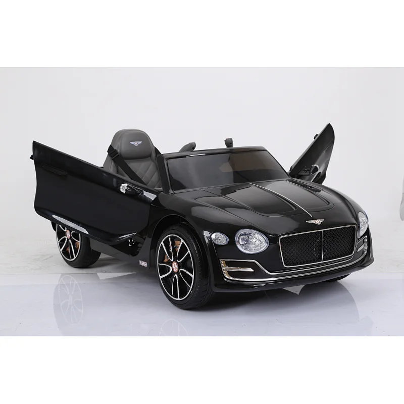 Licensed Bentley EXP12