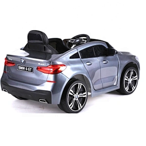 Лицензия BMW 6 GTR