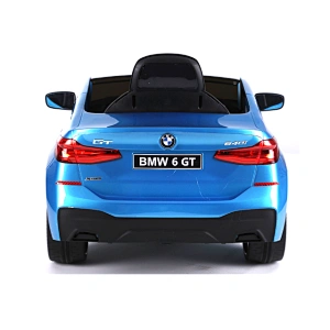 Лицензия BMW 6 GTR