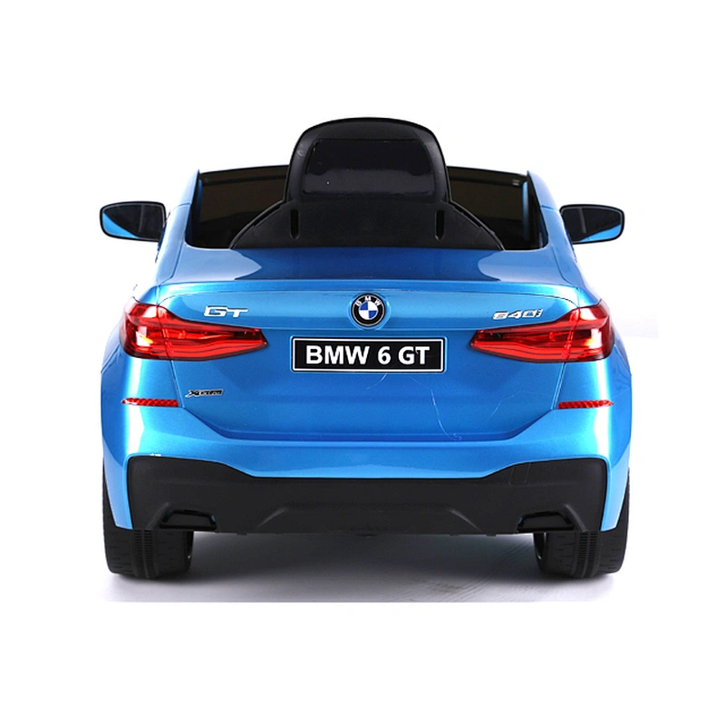Лицензия BMW 6 GTR