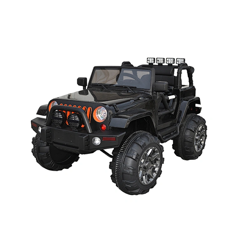 Paseo en Jeep