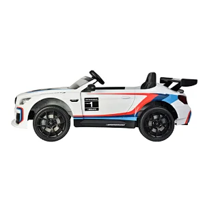 Licenced BMW M6 GT3