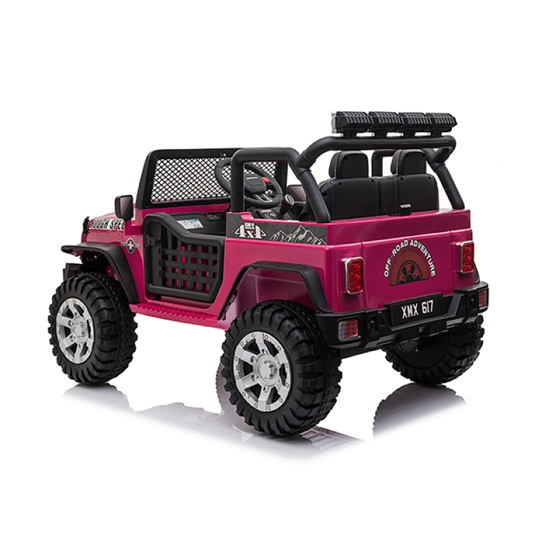 Paseo en Jeep