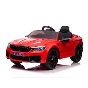 BMW M5 con licencia