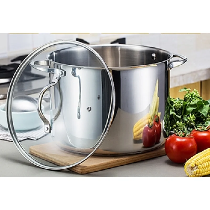 10L Stainless Steel Stockpot in 26cm Diameter