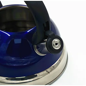 Stainless Steel Quick Water Boiling  Water Kettle