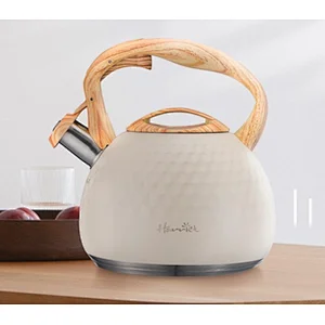 Amazon Hot-Sell stainless steel stove top tea kettle