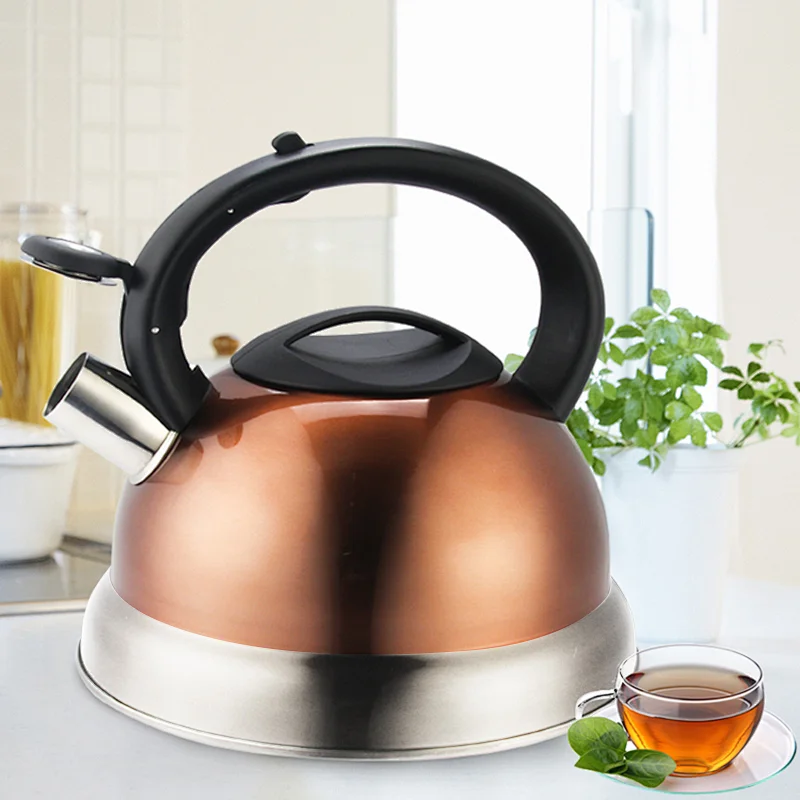 New Design of Stainless Steel Whistling Kettle