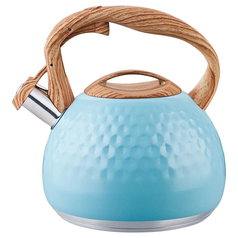 stainless steel stove top tea kettle