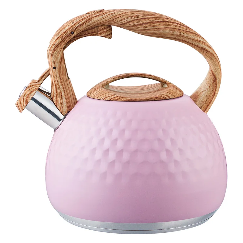 Amazon Hot-Sell stainless steel stove top tea kettle