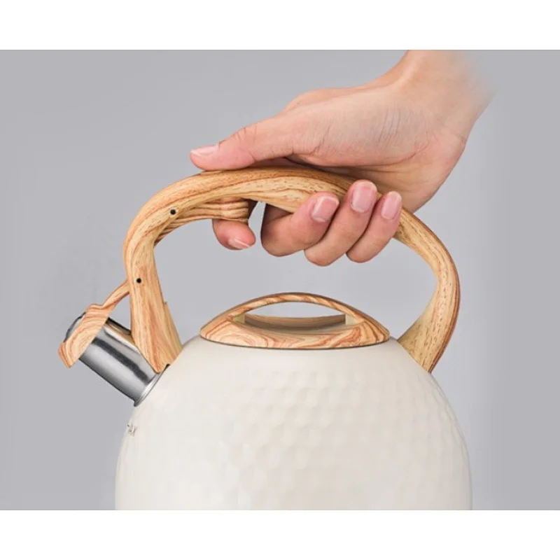 Amazon Hot-Sell stainless steel stove top tea kettle