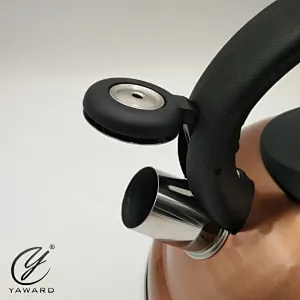New Design of Stainless Steel Whistling Kettle