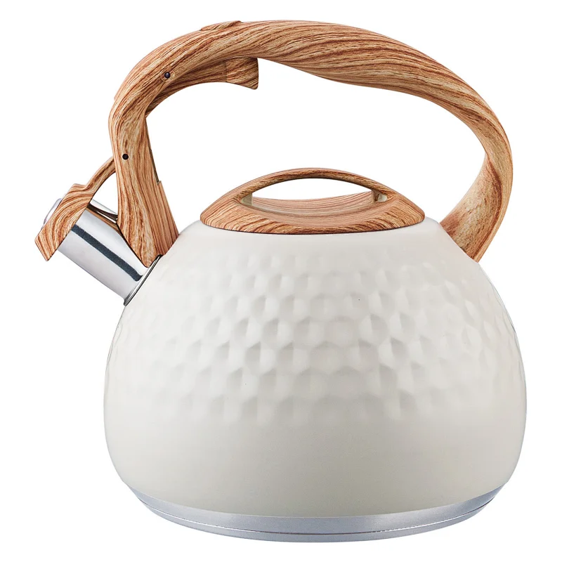 Amazon Hot-Sell stainless steel stove top tea kettle
