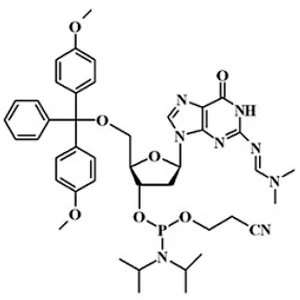 5’-O-DMT-N2-(dimethylamino)methylene-2’-Deoxy Guanosine Phosphoramidite