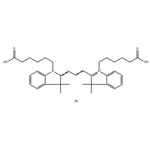 Cy3 DiAcid