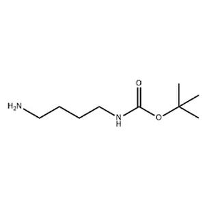 Boc-1,4-diaminobutane