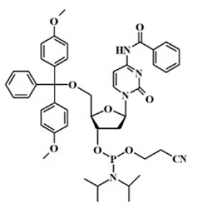 5’-O-DMT-N4-Benzoyl-2’-Deoxy Cytidine Phosphoramidite