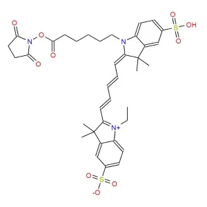 CY5-SE;Cy5-NHS-Ester