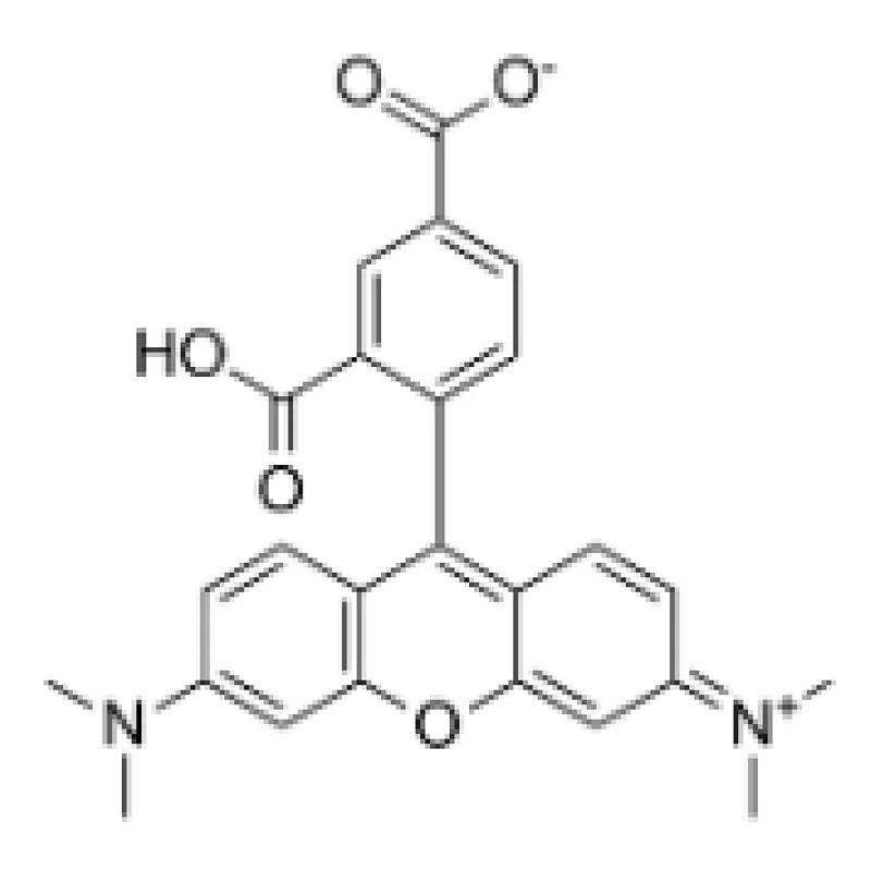 5-TAMRA