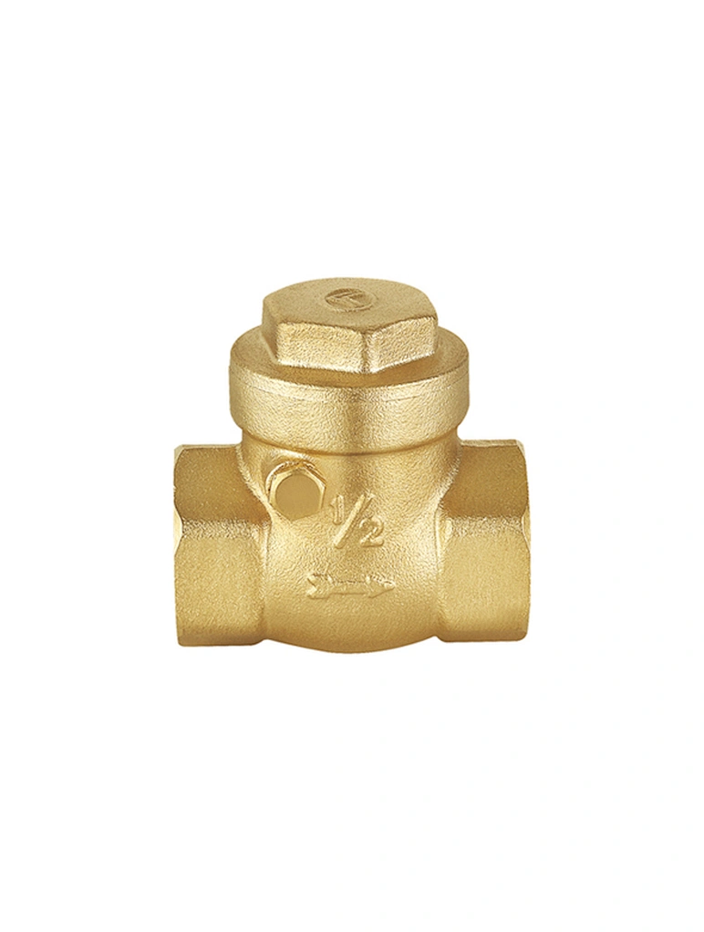 Swing check valve