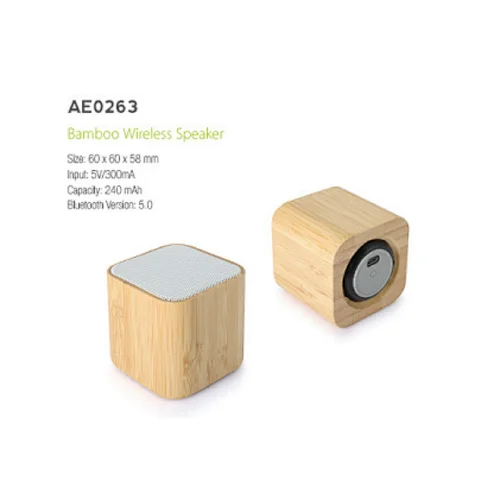 speaker