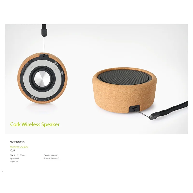 wireless speaker