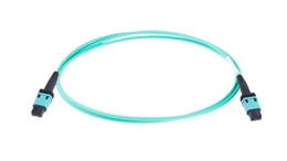 MPO/MTP Patch Cord_19-09.jpg MPO/MTP Patch Cord_19-09.jpg