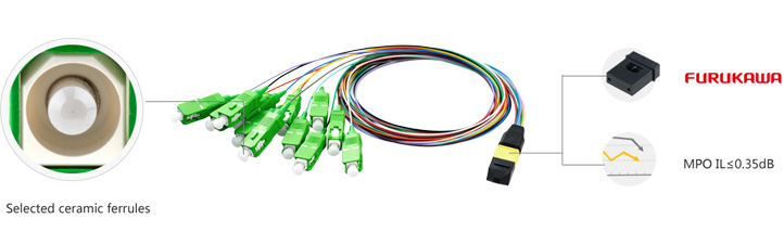 MPO/MTP Breakout Patch Cord