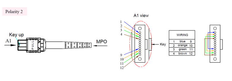 MPO/MTP Patch Cord