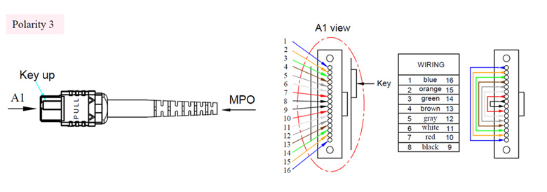 MPO/MTP Patch Cord