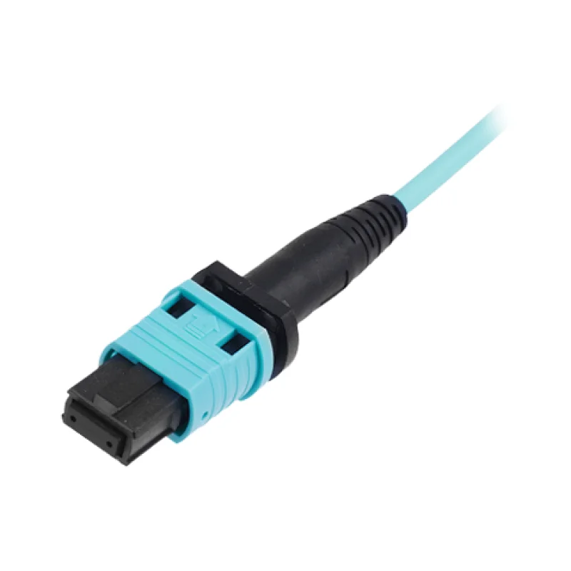 MPO 12C&24C connector
