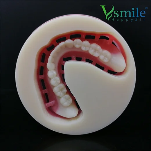 Full Denture PMMA Block